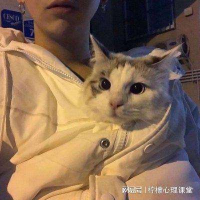 学习高手测试版下载